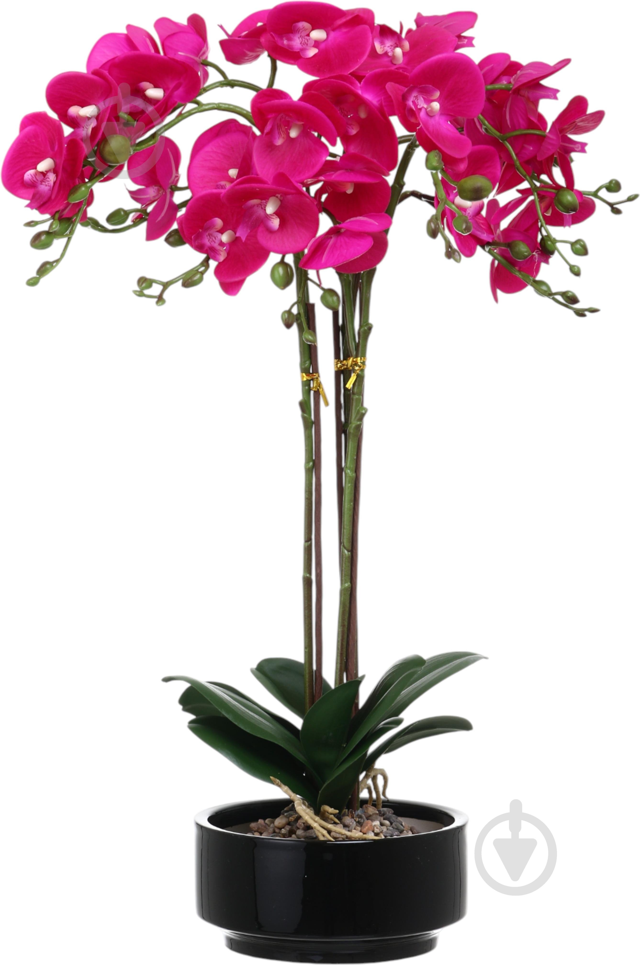 Цветок искусственный Орхидея розовая в черном керамическом горшке 62 см - фото 1 Цветок искусственный Орхидея розовая в черном керамическом горшке 62 см - фото 1