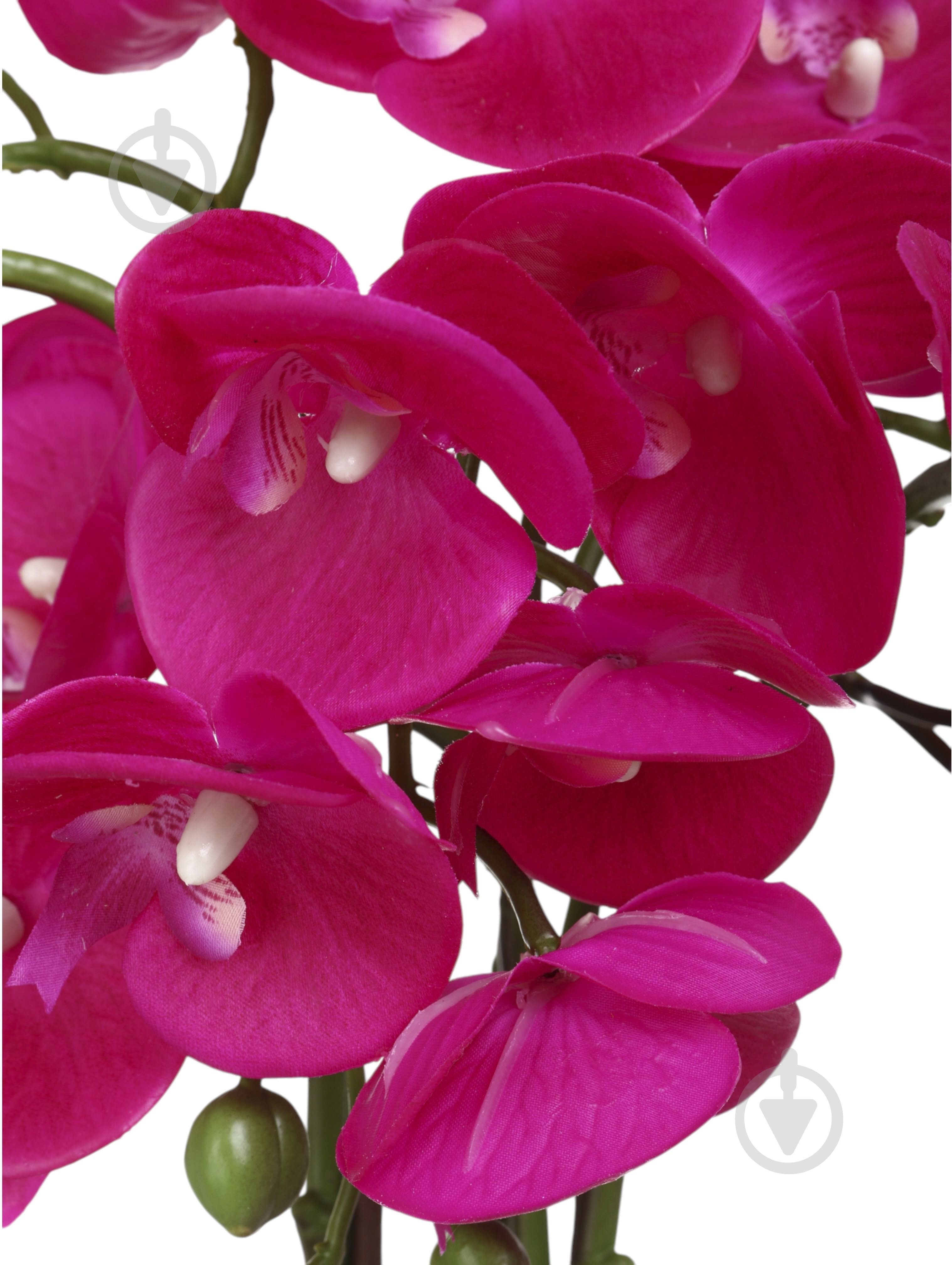 Цветок искусственный Орхидея розовая в черном керамическом горшке 62 см - фото 2 Цветок искусственный Орхидея розовая в черном керамическом горшке 62 см - фото 2