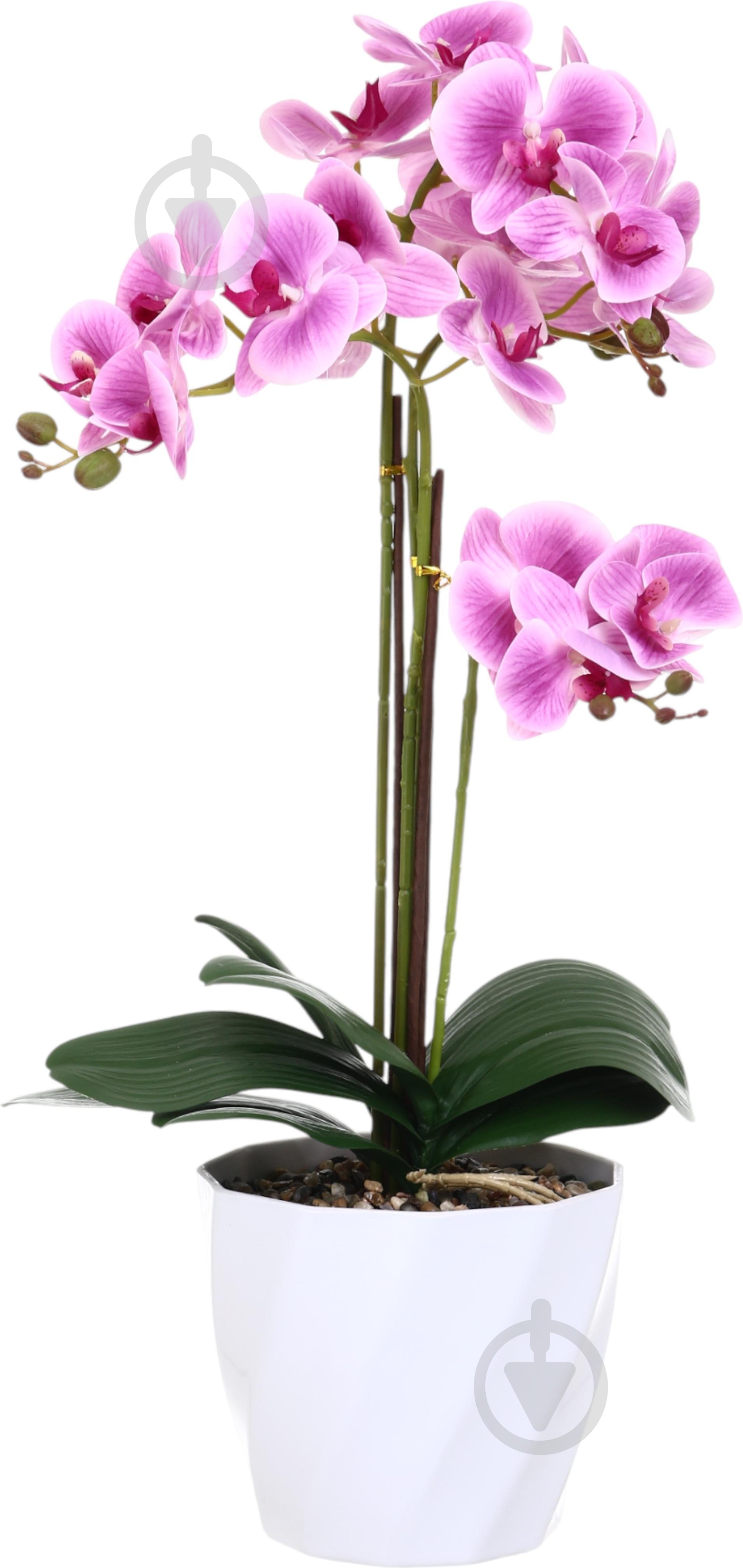 Цветок искусственный Орхидея фиолетовая в белом меламиновом горшке 76 см - фото 1 Цветок искусственный Орхидея фиолетовая в белом меламиновом горшке 76 см - фото 1
