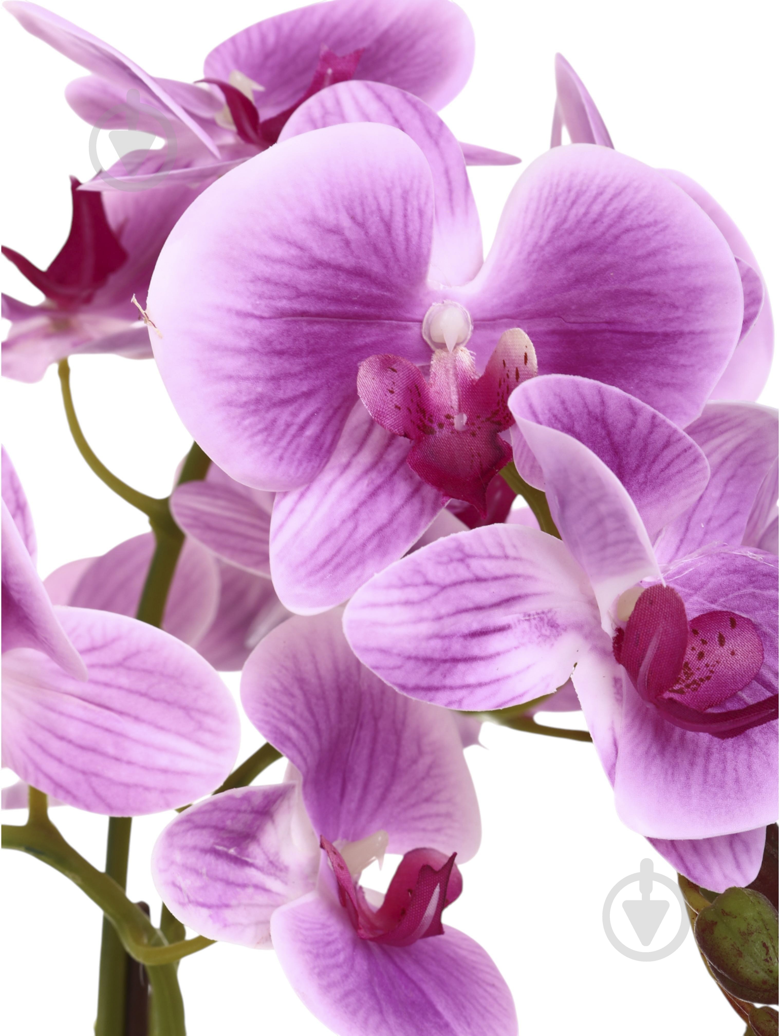 Цветок искусственный Орхидея фиолетовая в белом меламиновом горшке 76 см - фото 2 Цветок искусственный Орхидея фиолетовая в белом меламиновом горшке 76 см - фото 2