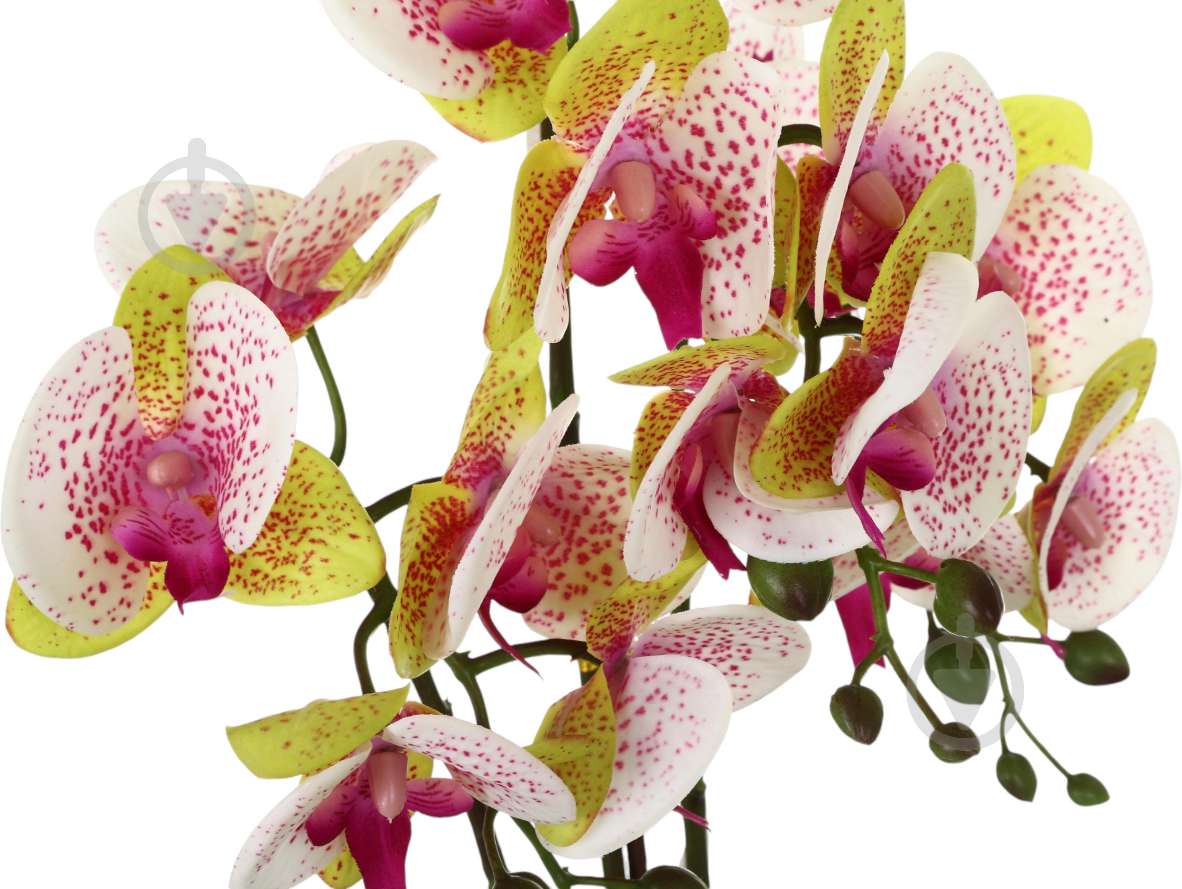 Цветок искусственный Орхидея Real Touch белая с розовой сердцевинкой в гощике 51 см - фото 3 Цветок искусственный Орхидея Real Touch белая с розовой сердцевинкой в гощике 51 см - фото 3