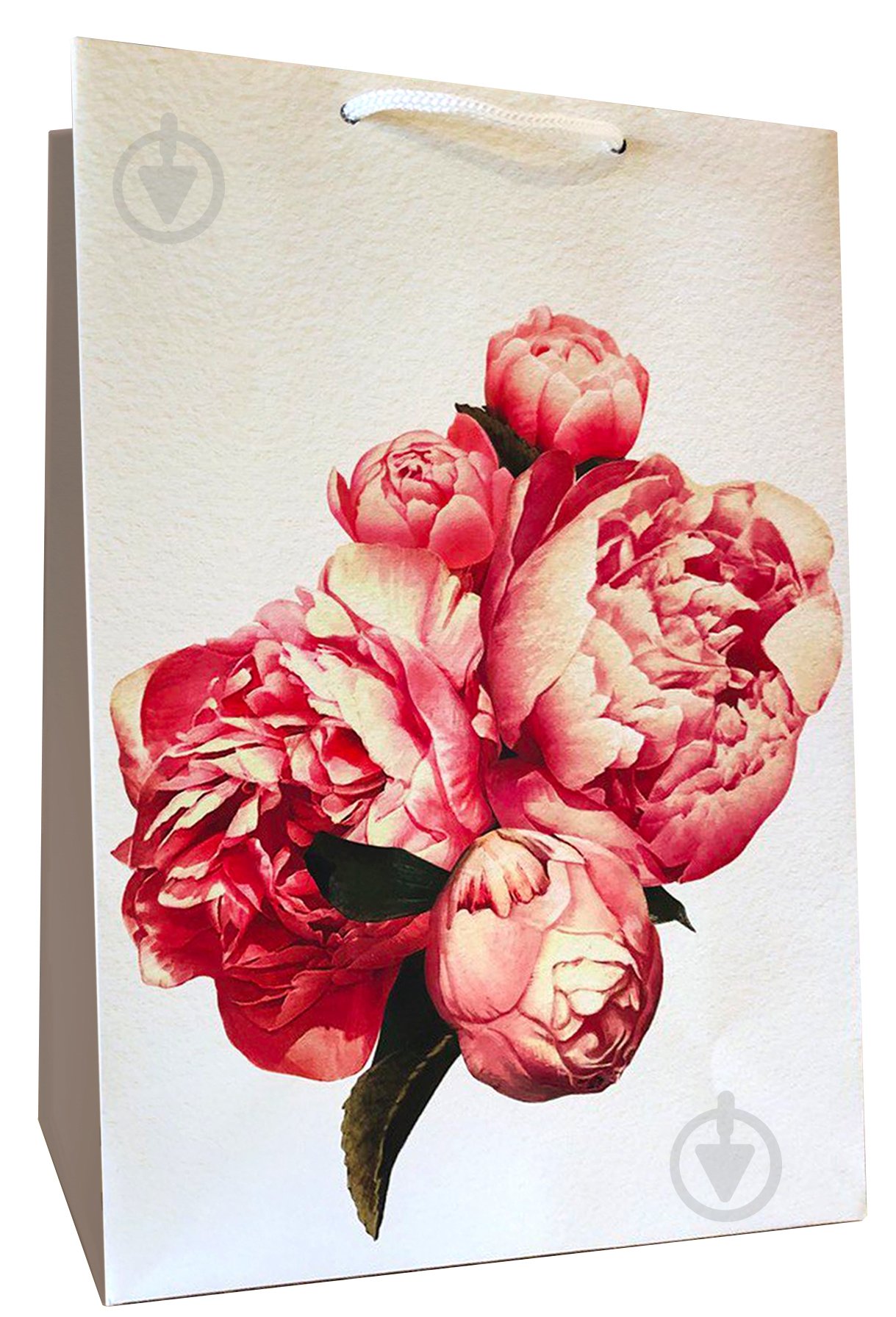 Пакет подарунковий AC002 KINZA - фото 1 Пакет подарунковий AC002 KINZA - фото 1