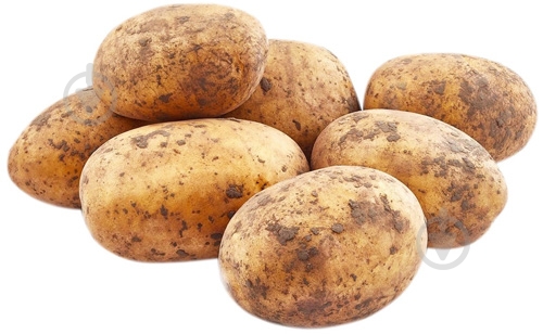 Картофель белая молодая уп. - фото 1 Картофель белая молодая уп. - фото 1