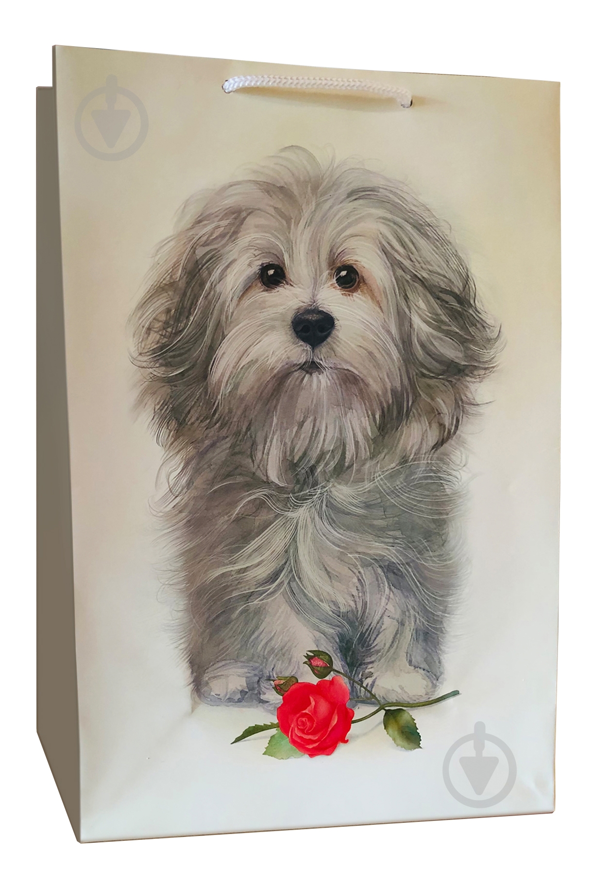 Пакет подарочный AC009 KINZA - фото 1 Пакет подарочный AC009 KINZA - фото 1