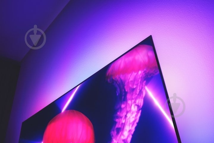 Телевизор Philips 55OLED807/12 - фото 12