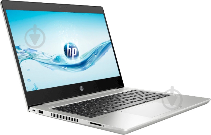 Ноутбук HP ProBook 430 G6 13,3 (4SP88AV_V21) silver - фото 3