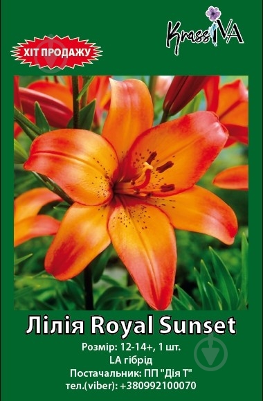 Луковица лилия Royal Sunset 1 шт. - фото 1
