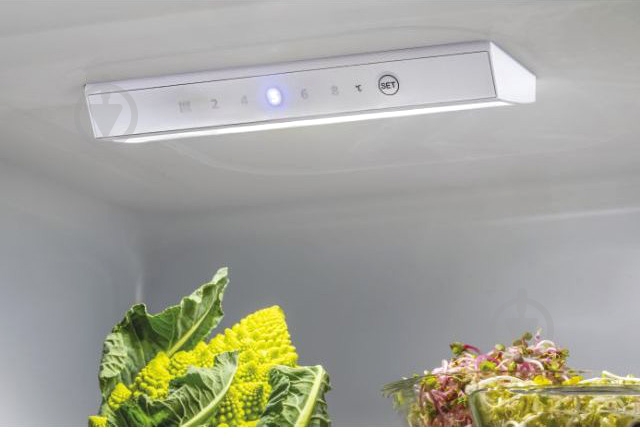 Холодильник Candy CMCL5142WN - фото 5