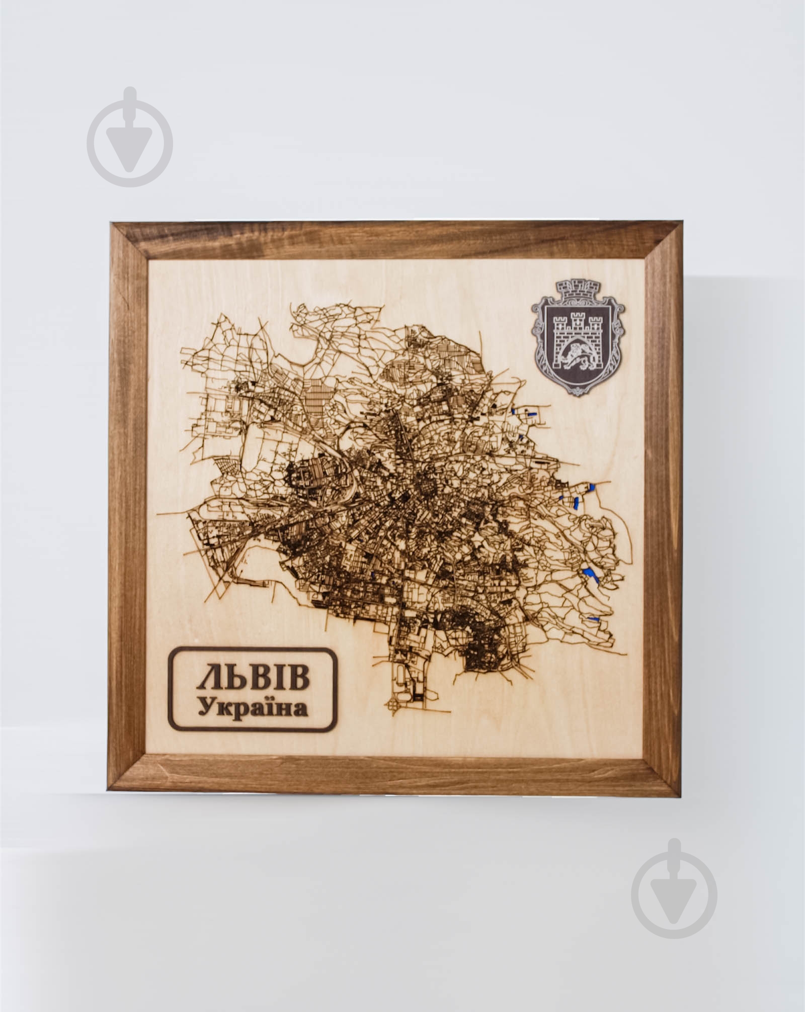 Карта Украины Львов 45x45 см - фото 1