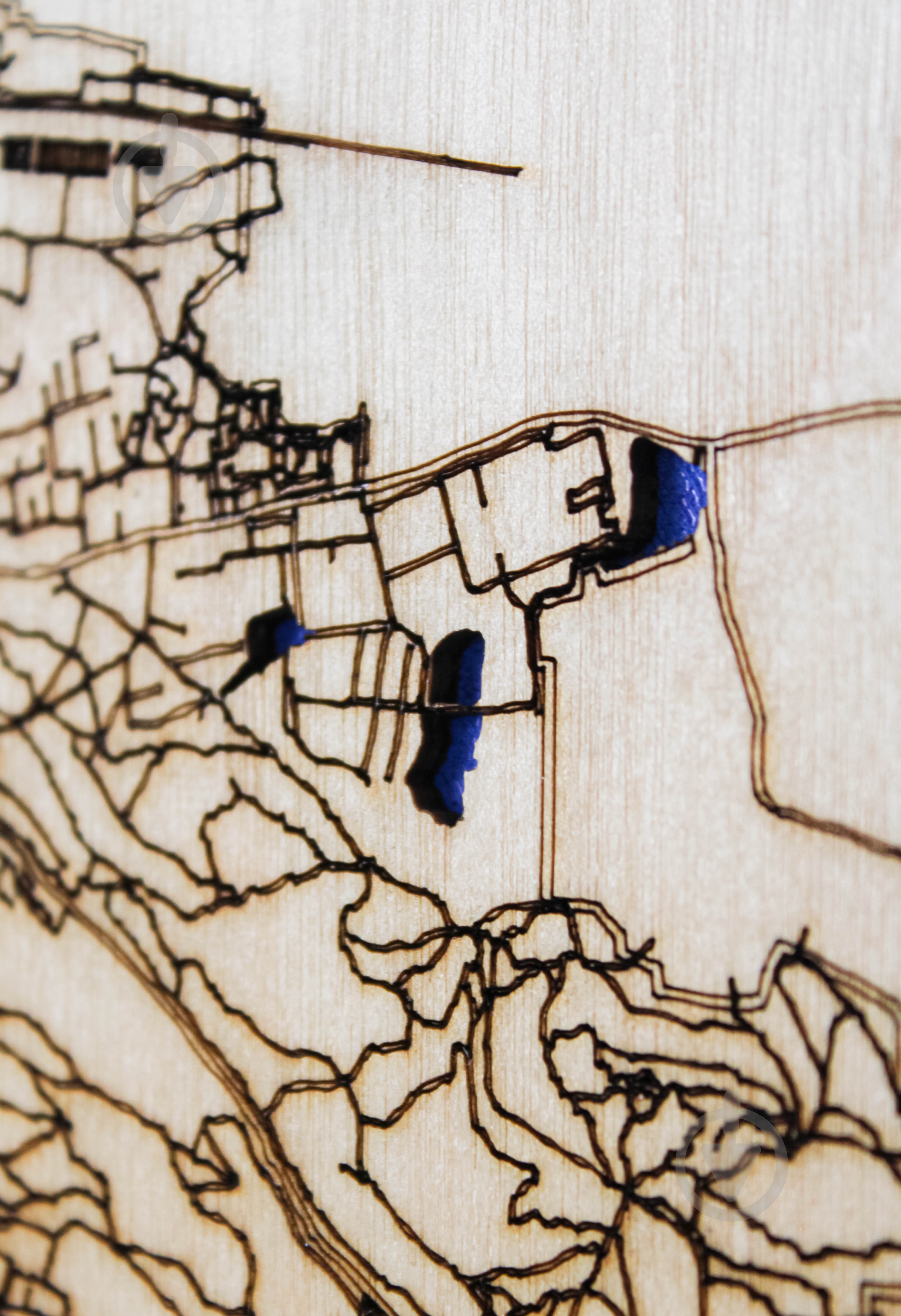 Карта Украины Львов 45x45 см - фото 3