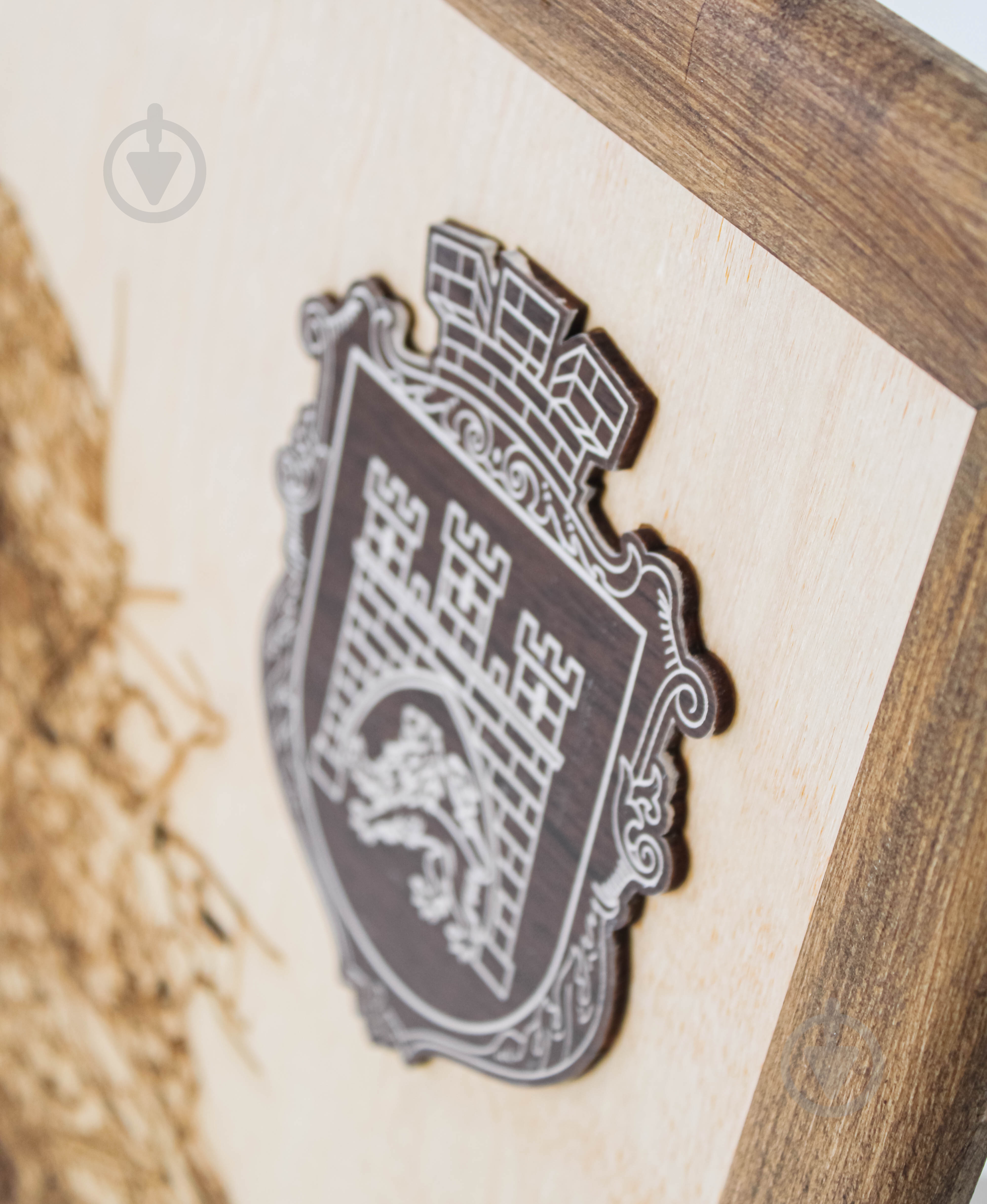 Карта Украины Львов 65x65 см - фото 3