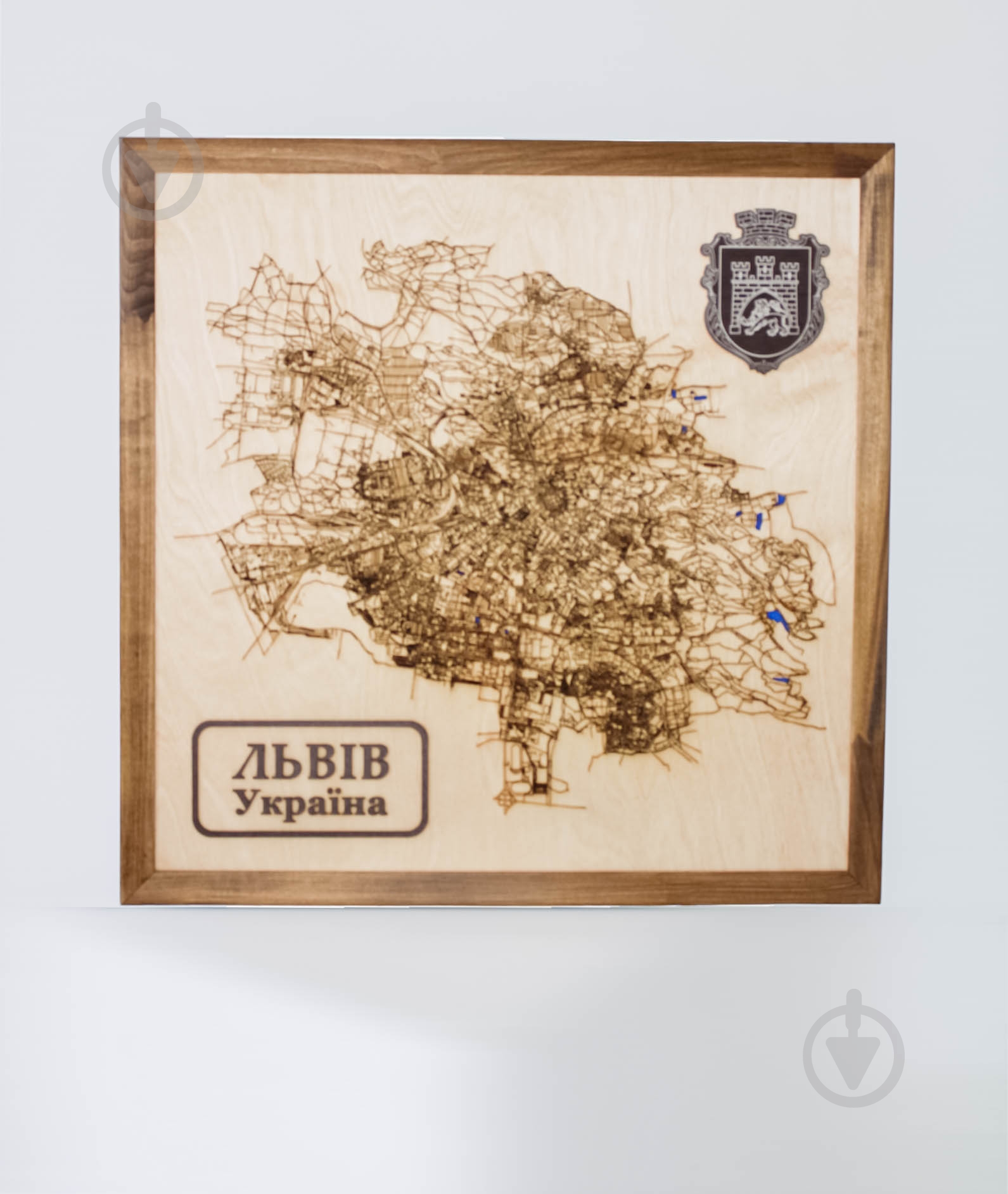 Карта Украины Львов 65x65 см - фото 1