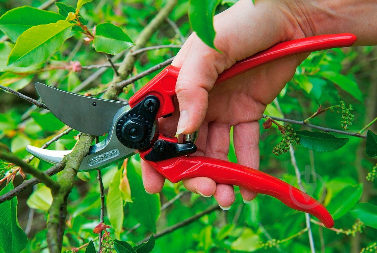 Секатор Berger 215 мм 1200 - фото 5 Секатор Berger 215 мм 1200 - фото 5