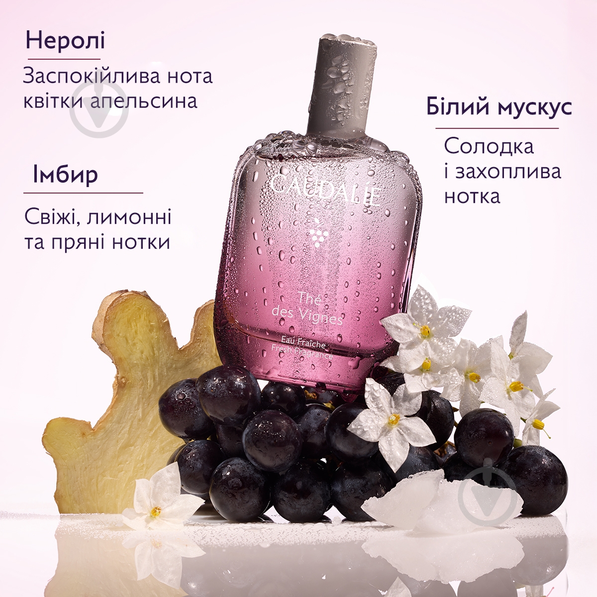 Туалетная вода Caudalie The des Vignes 50 мл - фото 2 Туалетная вода Caudalie The des Vignes 50 мл - фото 2