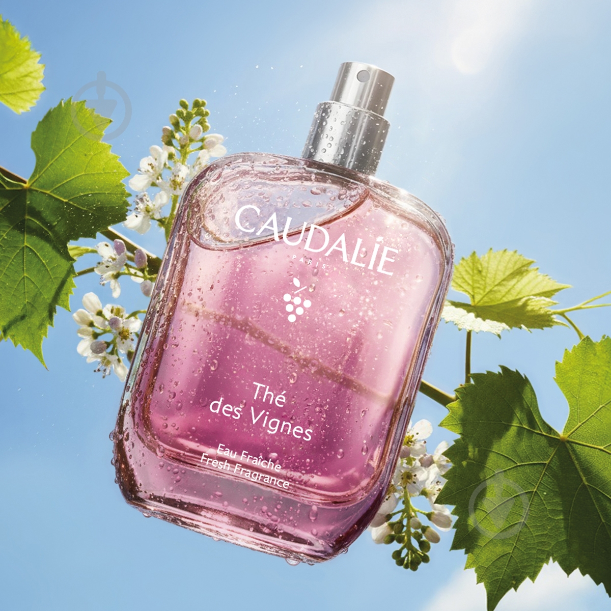 Туалетная вода Caudalie The des Vignes 50 мл - фото 3 Туалетная вода Caudalie The des Vignes 50 мл - фото 3