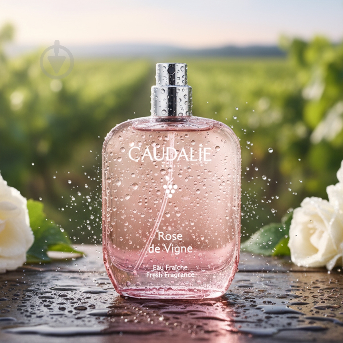 Туалетная вода Caudalie Rose des Vignes 50 мл - фото 3
