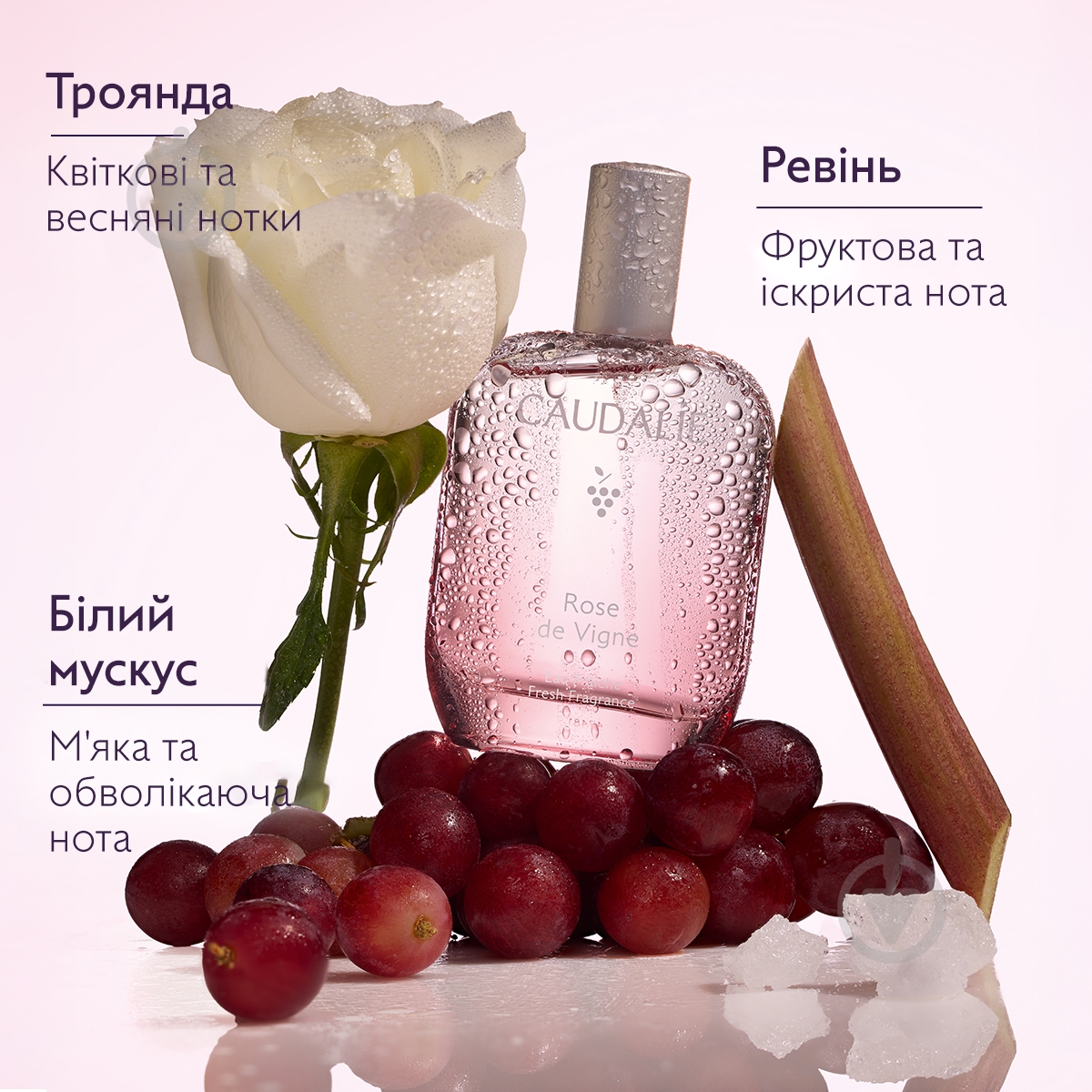 Туалетная вода Caudalie Rose des Vignes 50 мл - фото 2