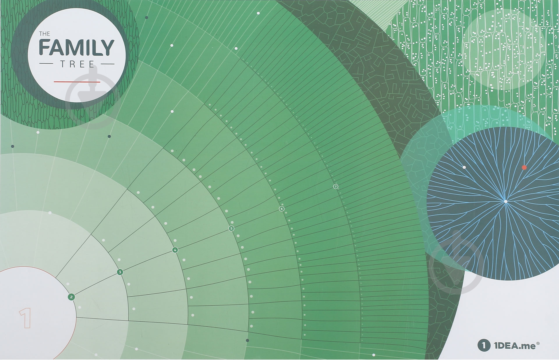 Интерактивный постер The Family Tree - фото 2 Интерактивный постер The Family Tree - фото 2