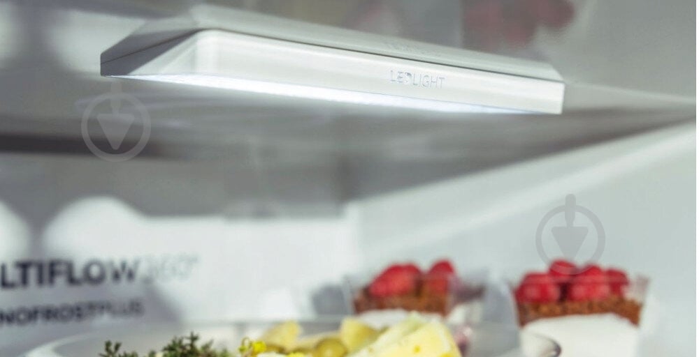 Холодильник Gorenje RK58DPS4 - фото 4 Холодильник Gorenje RK58DPS4 - фото 4