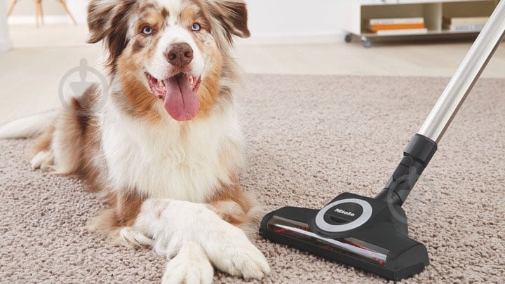 Пылесос Miele SGEF3 Cat&Dog (41GEF330UA) - фото 9 Пылесос Miele SGEF3 Cat&Dog (41GEF330UA) - фото 9