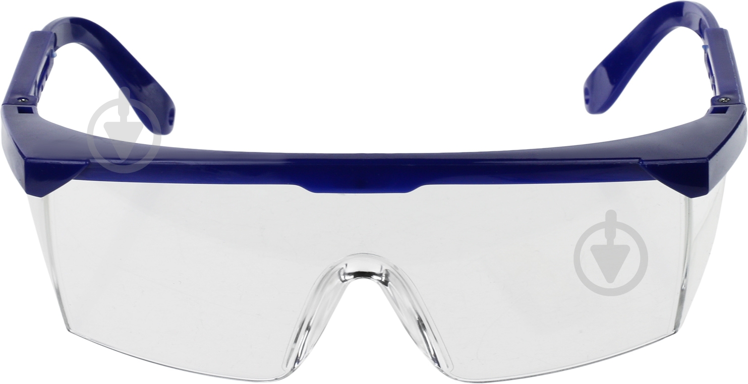 Очки защитные Compass F-012-B (1) - фото 2