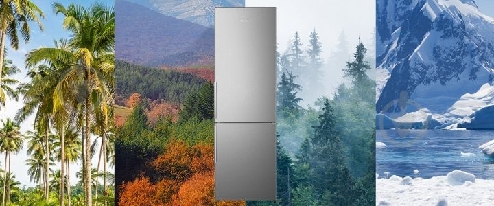 Холодильник Hisense RB343D4DDE (BCD-265) - фото 10