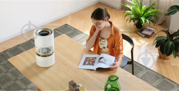 Увлажнитель воздуха Humidifier Rainforest 963161 - фото 10 Увлажнитель воздуха Humidifier Rainforest 963161 - фото 10