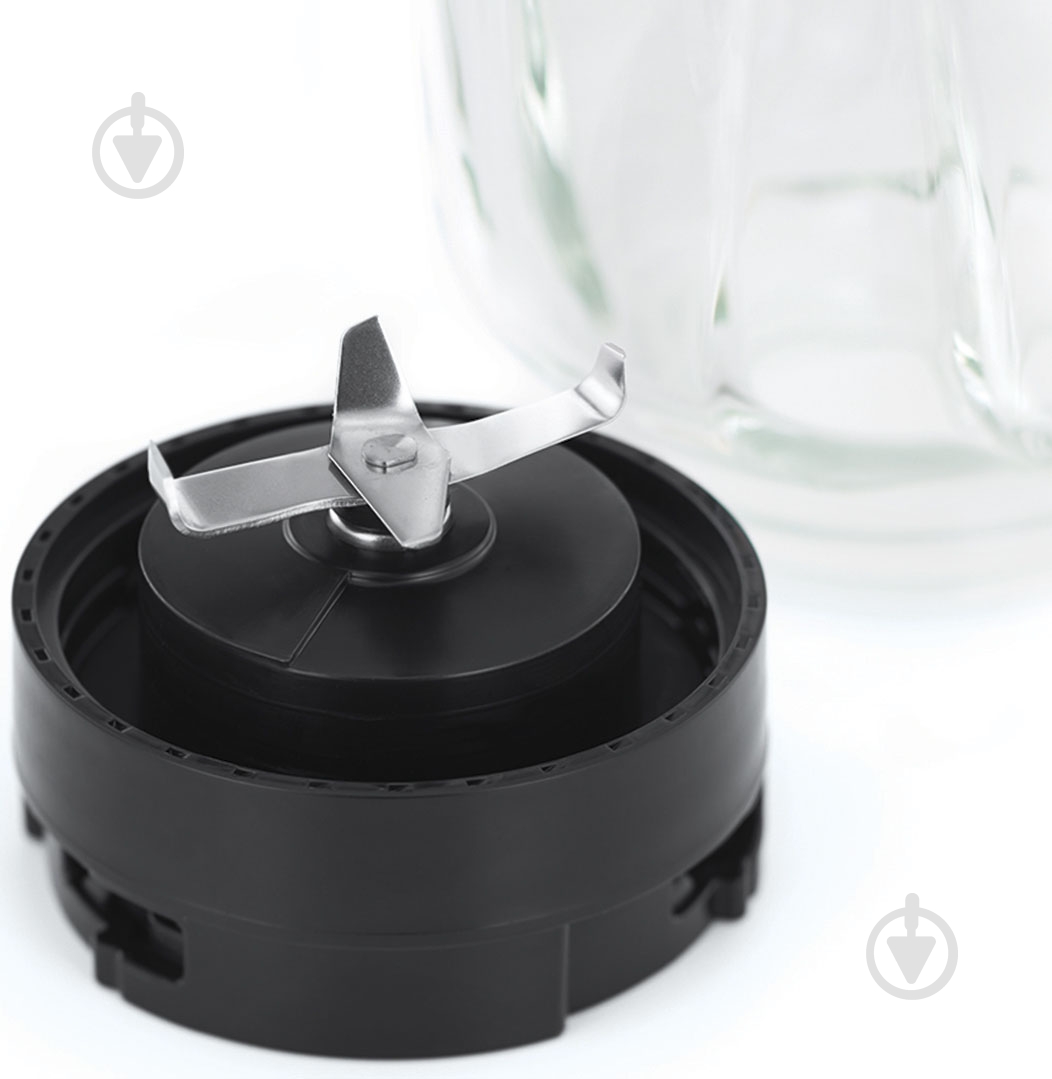 Блендер стационарный Russell Hobbs 25290-56 Compact Home - фото 6