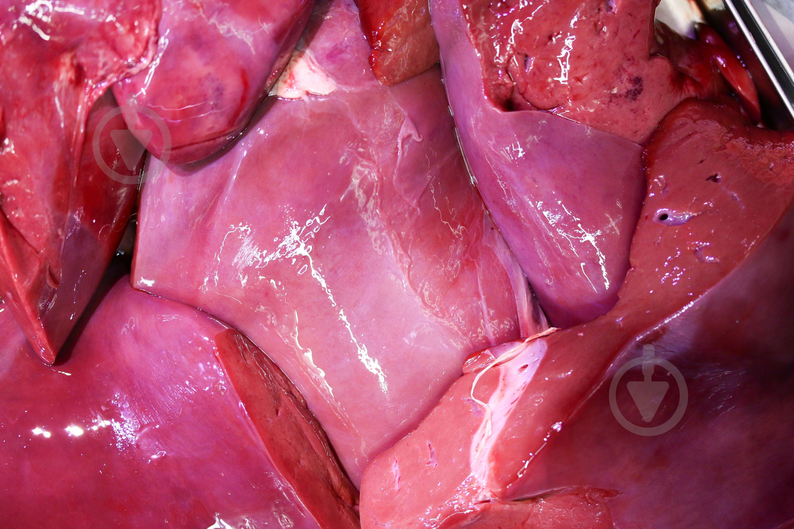 Печень говяжья охлажденная весовая - фото 1 Печень говяжья охлажденная весовая - фото 1