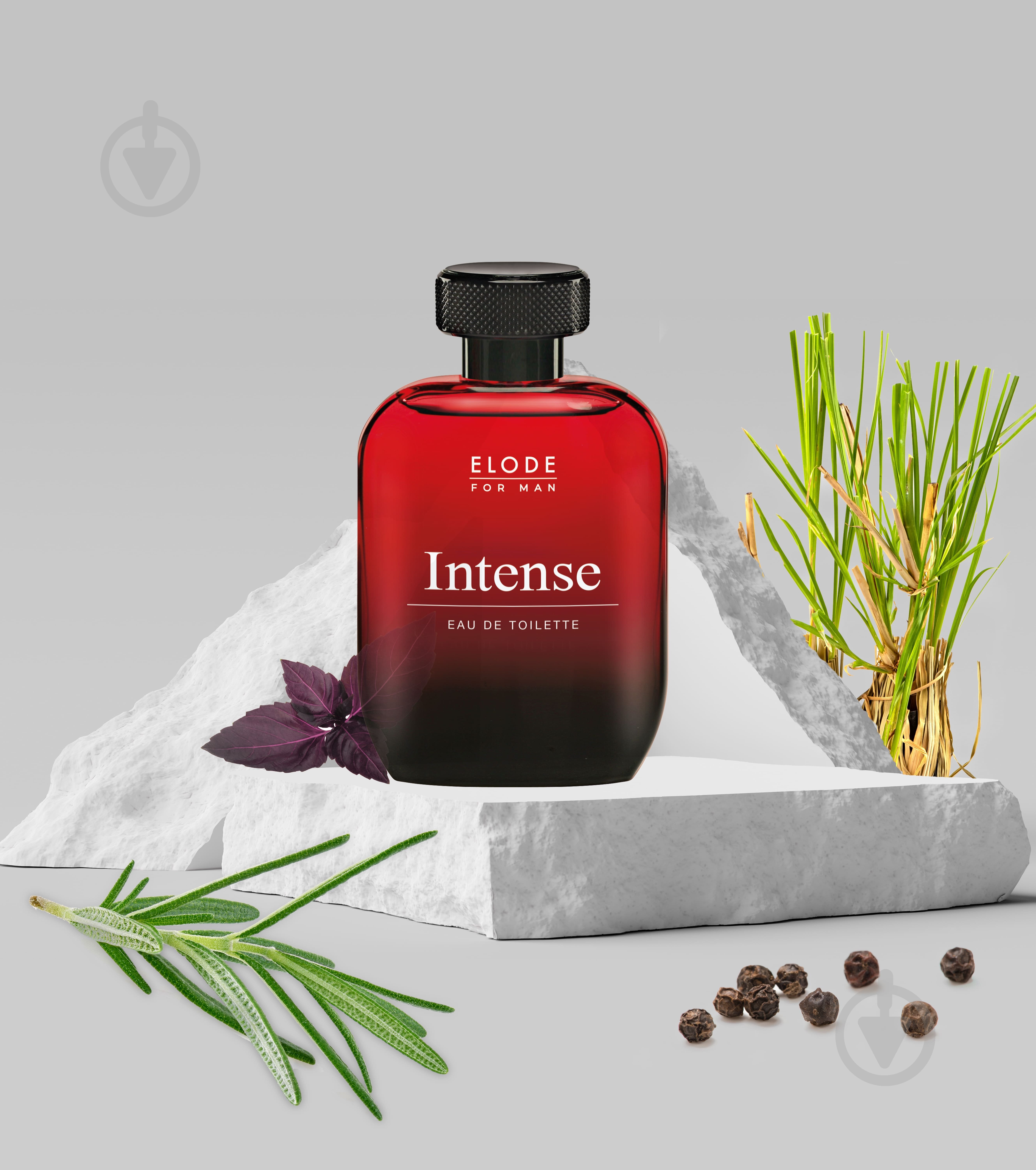 Туалетная вода Elode Elode Intense 100 мл - фото 3