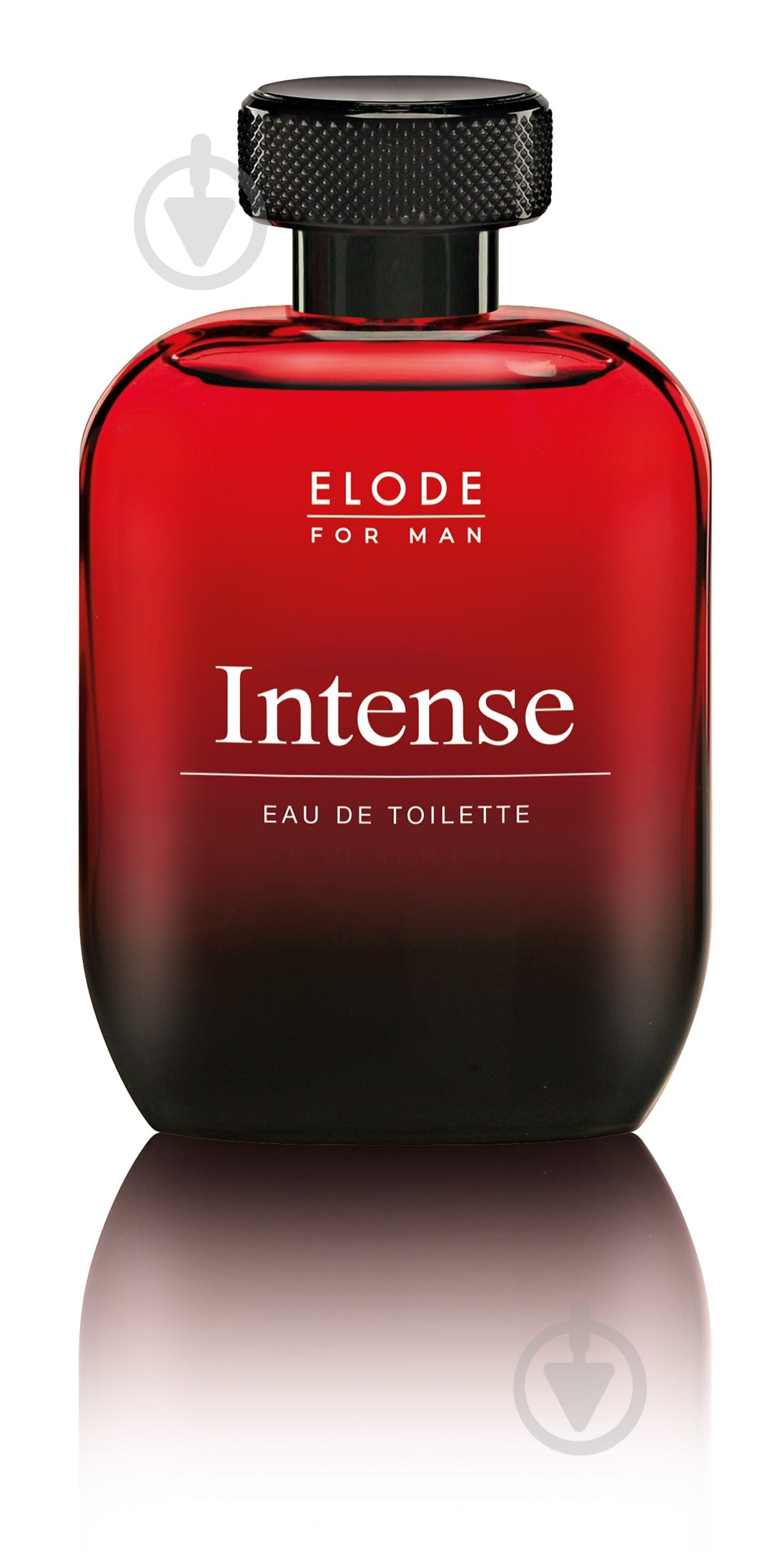 Туалетная вода Elode Elode Intense 100 мл - фото 2