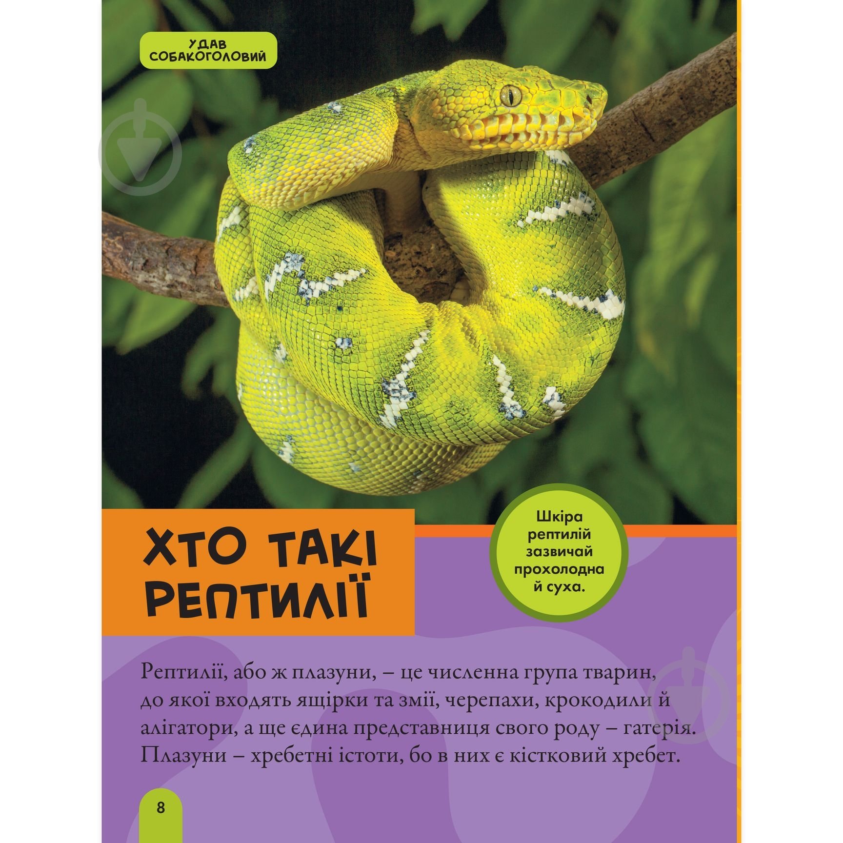 Книга подарункова Кетрін Х'юз «Енциклопедія National Geographic. Моя перша енциклопедія. Рептилії та амфібії» 9786171600799 - фото 4 Книга подарункова Кетрін Х'юз «Енциклопедія National Geographic. Моя перша енциклопедія. Рептилії та амфібії» 9786171600799 - фото 4