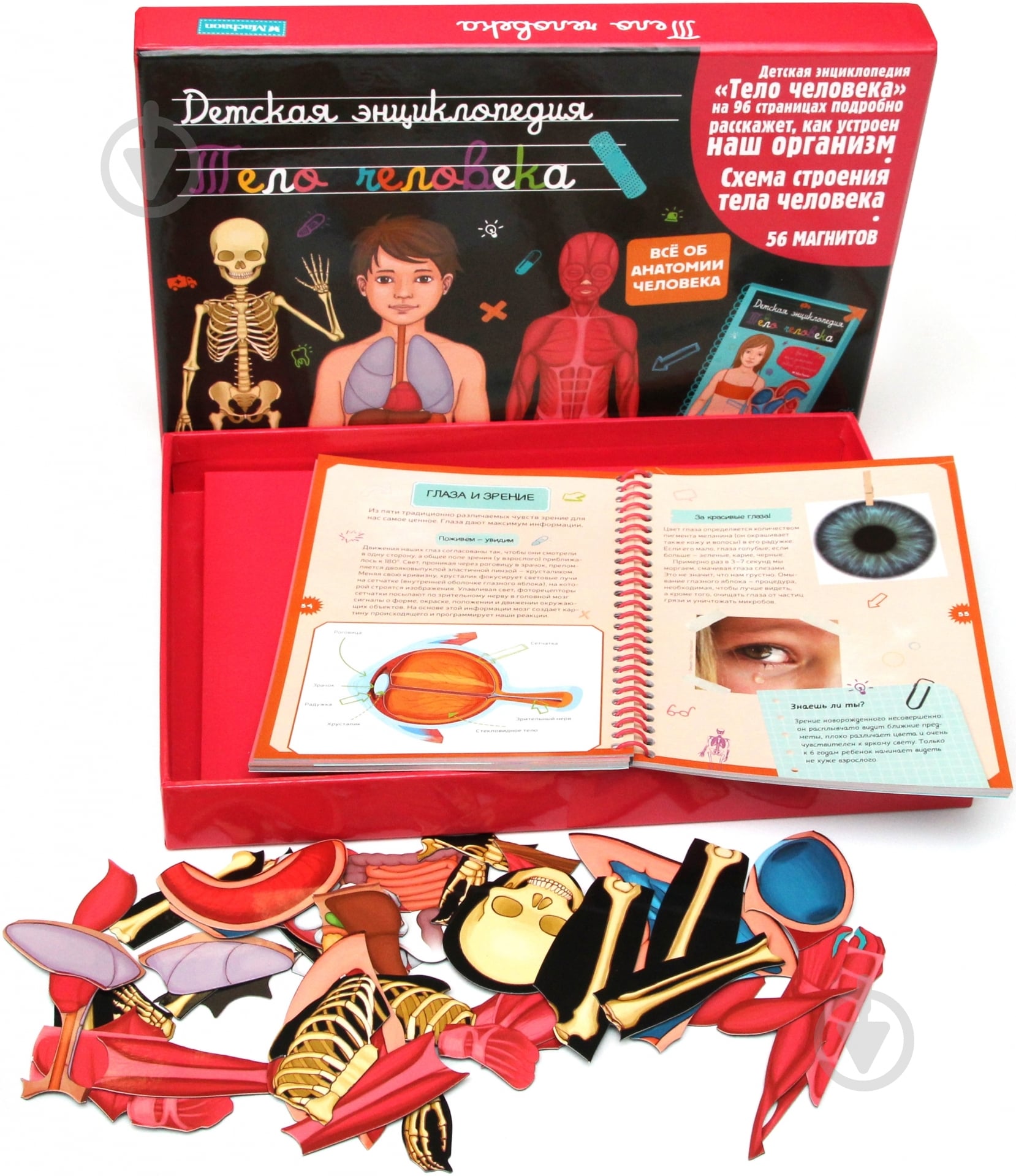 Книга «Тело человека. Детская энциклопедия» 978-5-389-09006-4 - фото 1