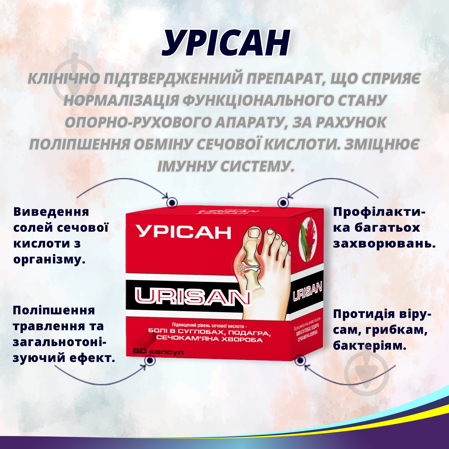 Урисан №60 капсулы - фото 3