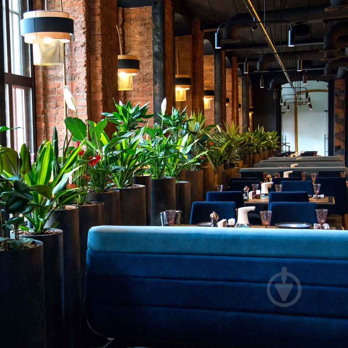 Спрей-полироль Compo Сomplete 500 мл (6357) - фото 12