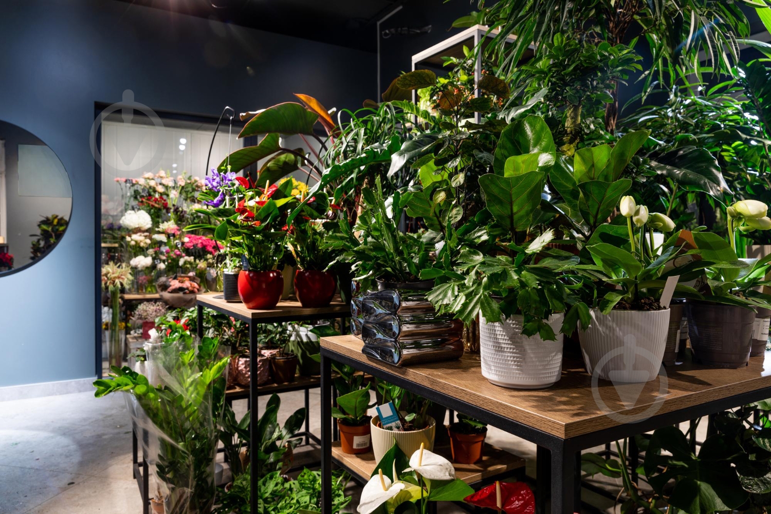 Спрей-полироль Compo Сomplete 500 мл (6357) - фото 8