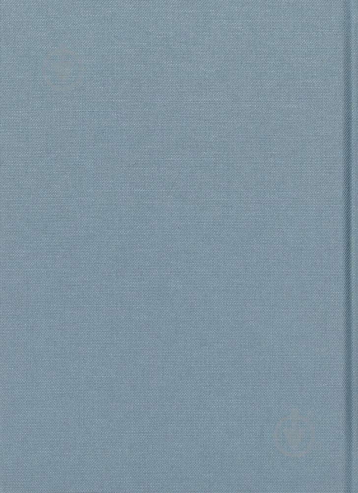 Книга Тарас Мельничук «Князь Роси» 978-617-585-032-9 - фото 2