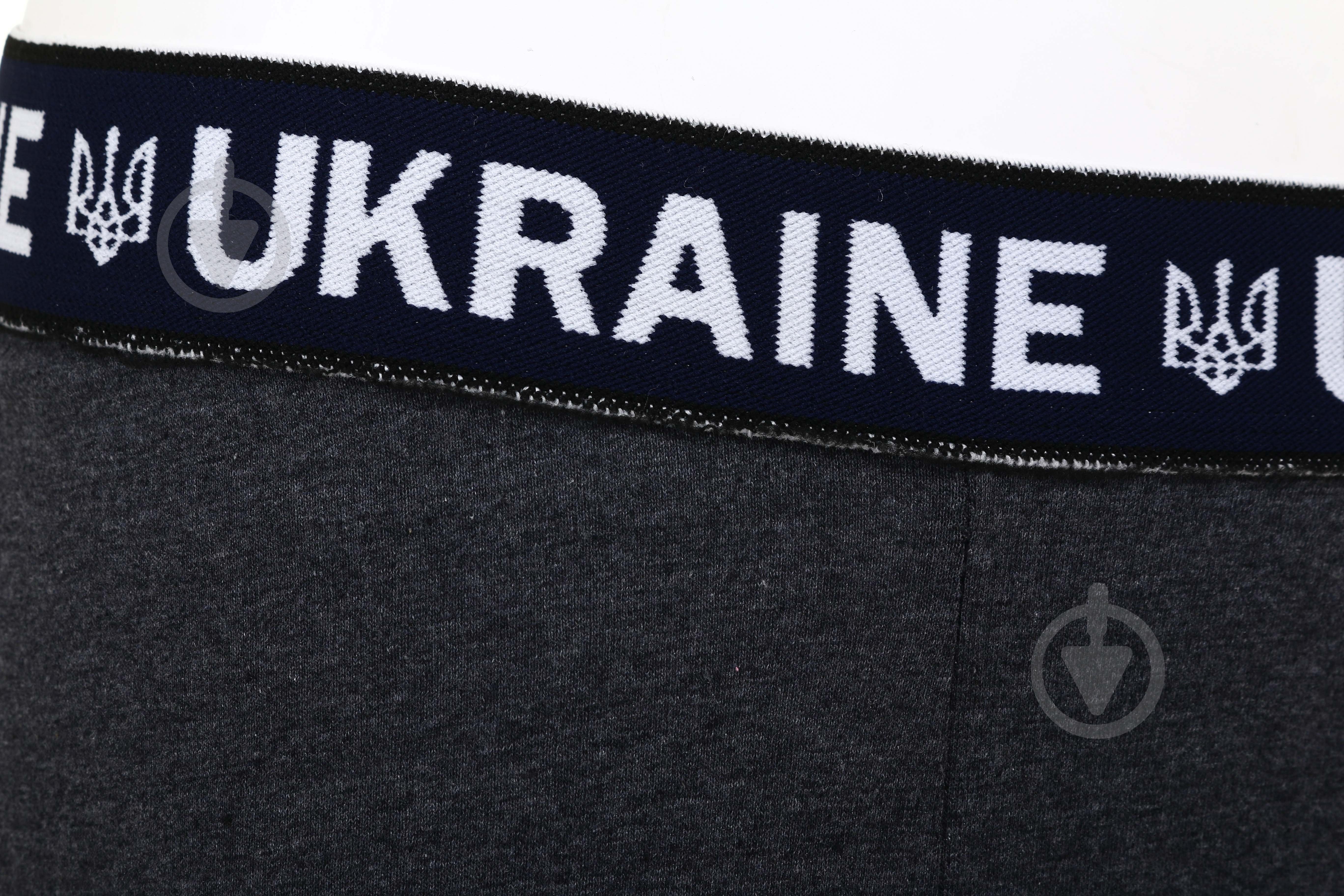 Трусы мужские LOGOS-Tac Ukrainian01-02-00-0003 L серый - фото 5