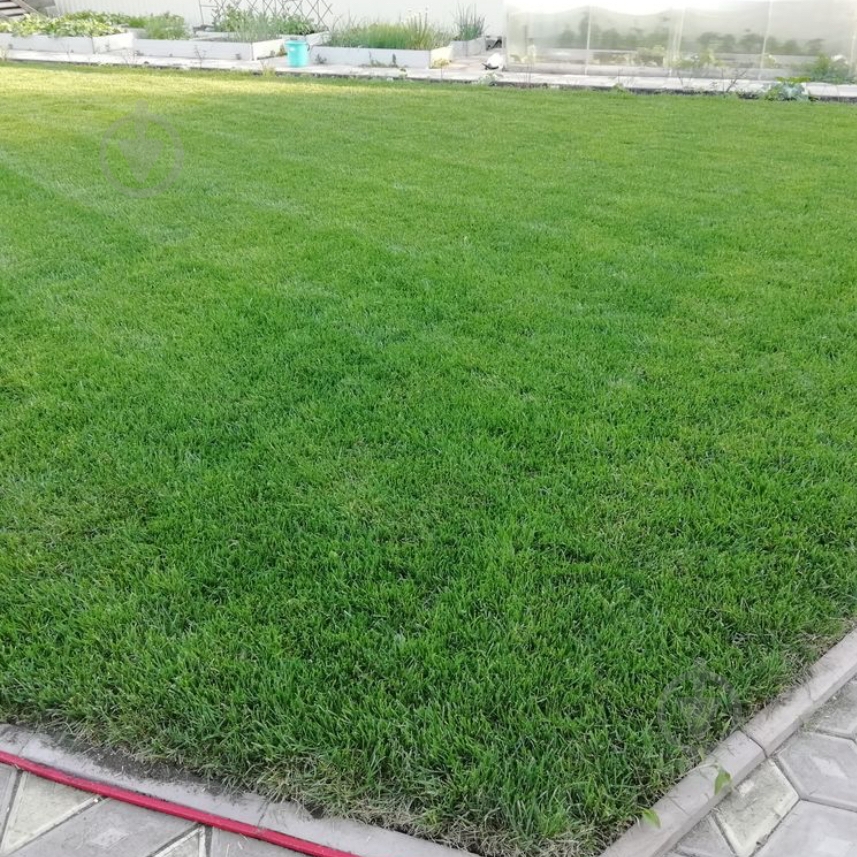 Семена Green Home газонная трава универсальная 4 кг - фото 3 Семена Green Home газонная трава универсальная 4 кг - фото 3