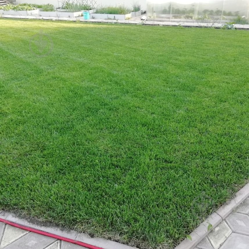 Семена Green Home газонная трава универсальная 1 кг - фото 3 Семена Green Home газонная трава универсальная 1 кг - фото 3