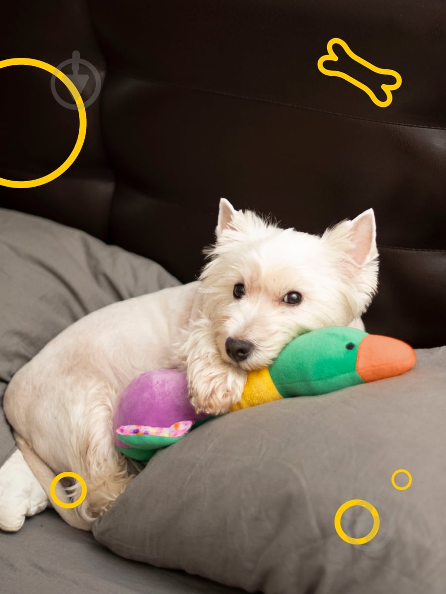 Игрушка для собак DGT-PETS Качка DOG2 - фото 5 Игрушка для собак DGT-PETS Качка DOG2 - фото 5