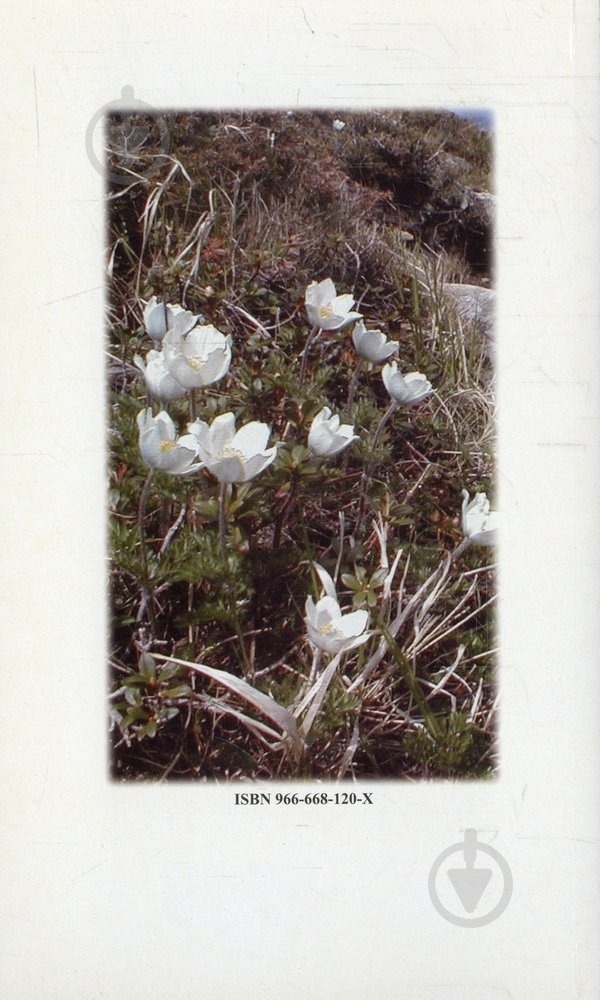 Книга Василий Мойсишин «Бескид» - фото 2