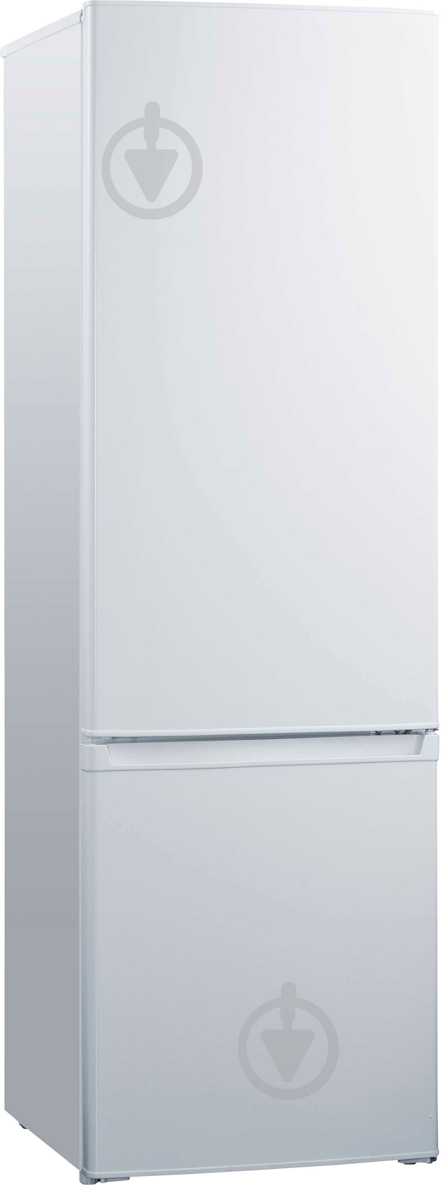 Холодильник EDLER ED-167FW - фото 1