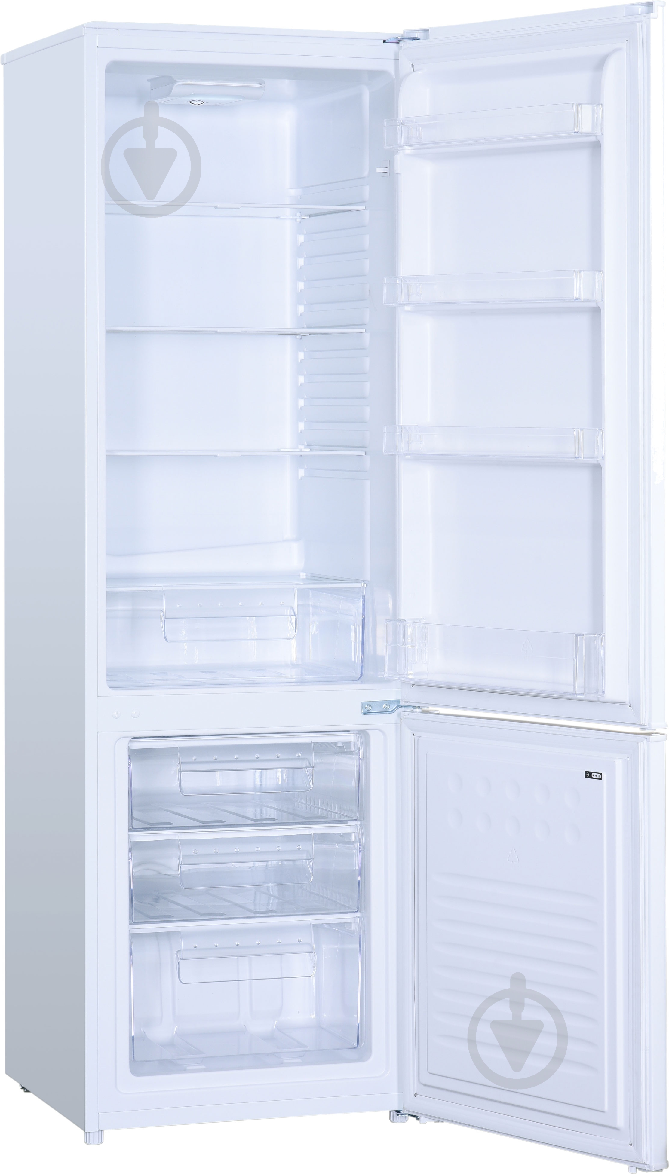 Холодильник EDLER ED-167FW - фото 2