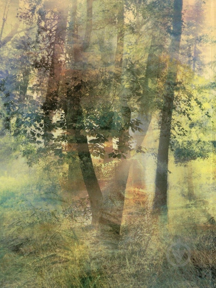 Книга Александр Афонин «А я залишаюся в лiтi» 978-966-03-4993-3 - фото 2