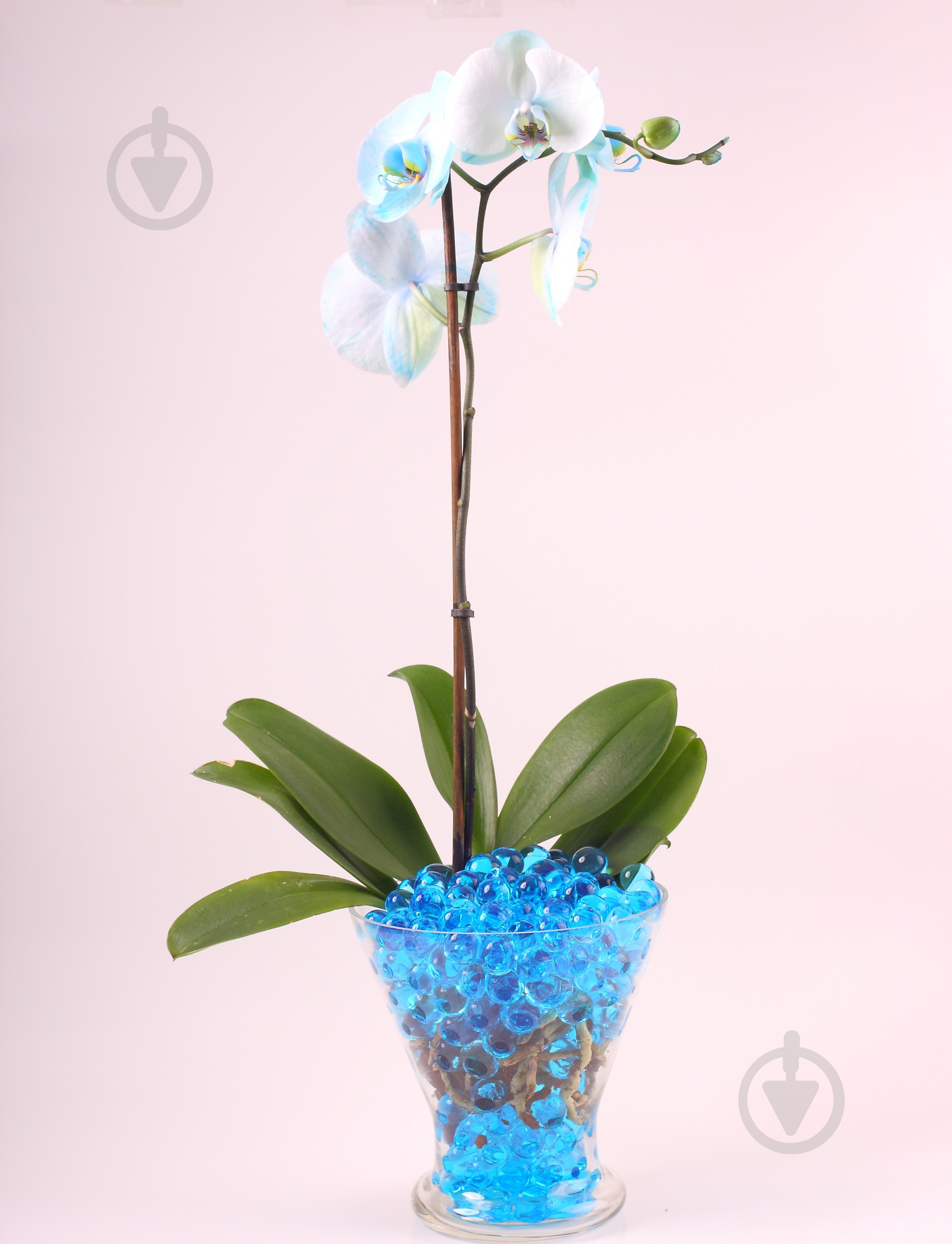 Гідрогель декоративний Water Crystal blue 10 г - фото 2
