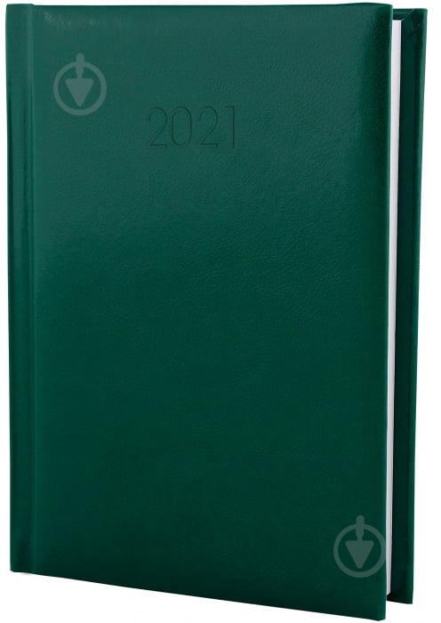 Дневник датированный зеленый линия Optima Flash A6 E21826-04 - фото 1