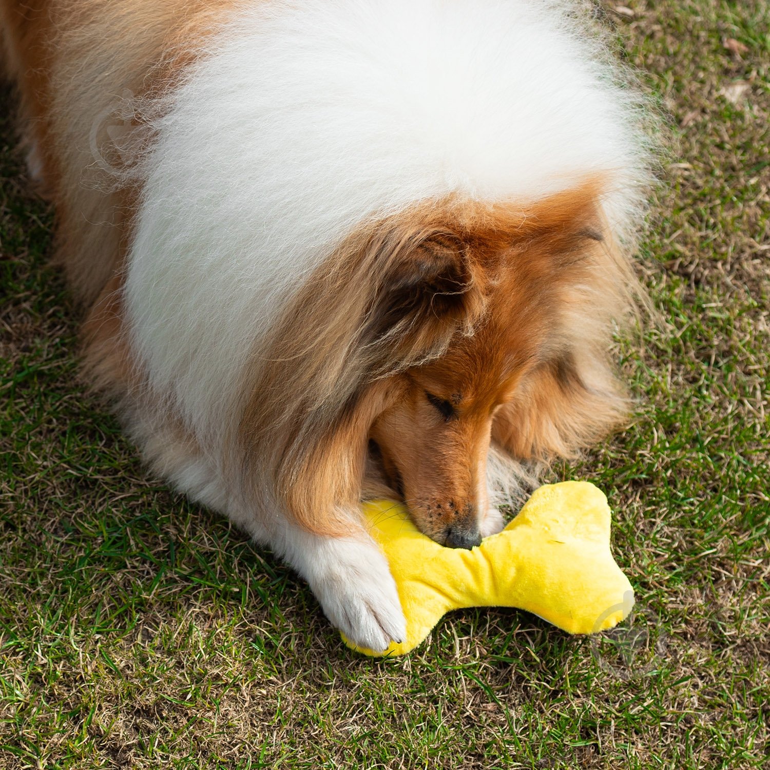 Игрушка для собак Fanny Animals Кость мягкая с пищалкой 20 см МС 160401-11 - фото 3 Игрушка для собак Fanny Animals Кость мягкая с пищалкой 20 см МС 160401-11 - фото 3