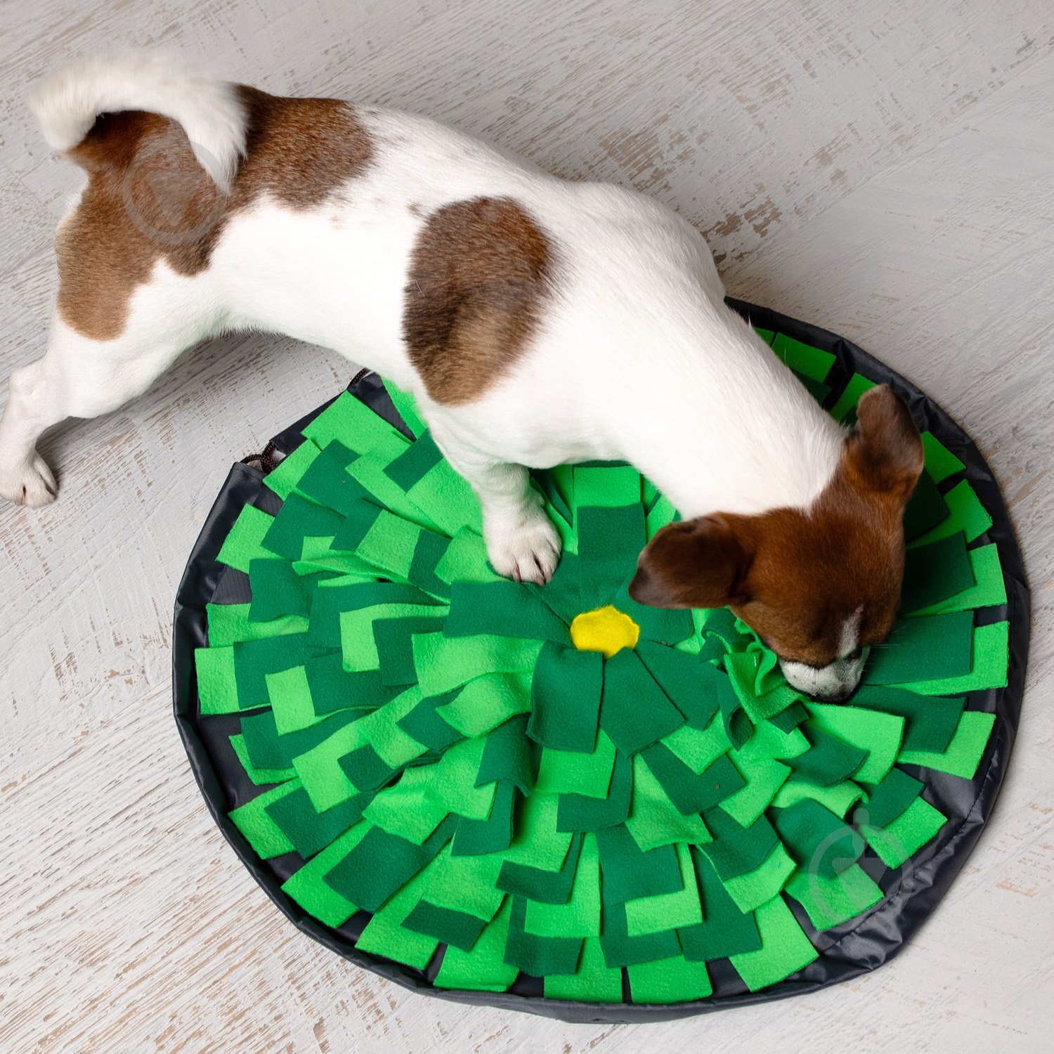 Нюхательный интерактивный коврик Fanny Animals круглый МС 160401-21 - фото 1 Нюхательный интерактивный коврик Fanny Animals круглый МС 160401-21 - фото 1