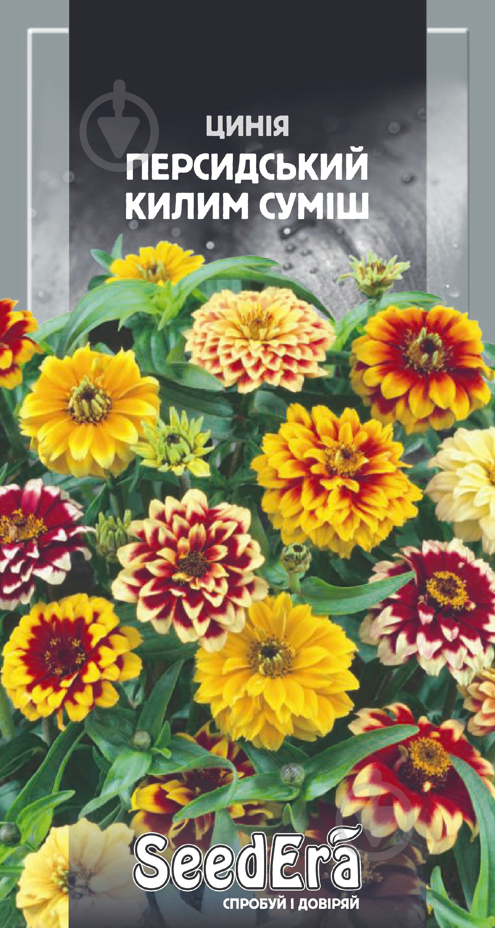 Смесь семян SeedEra цинния низкорослая Персидский ковер 0,5 г (4823114401282) - фото 1 Смесь семян SeedEra цинния низкорослая Персидский ковер 0,5 г (4823114401282) - фото 1